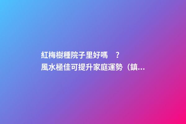 紅梅樹種院子里好嗎？風水極佳可提升家庭運勢（鎮宅旺財）
